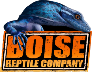 Boise Reptile Company Logo