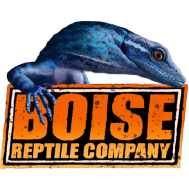 Boise Reptile Company logo
